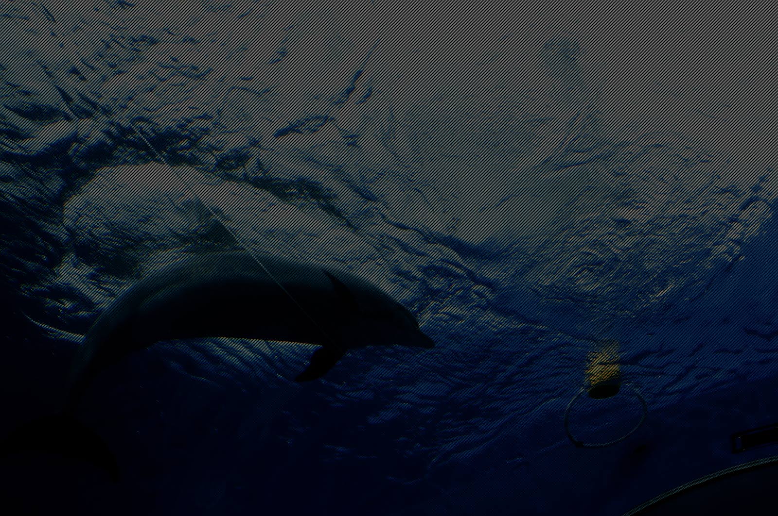 株式会社ネイチャー